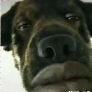 Meet your Posher, Alexander